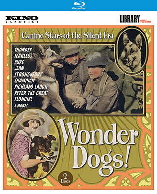 Wonder Dogs! BD